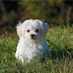 子育て中でも実践可能なゆるい副業を紹介しています🧡スマホさえあればどこでもお仕事可能🌺自分のペースで時間がある時にやれます✩私自身3ヵ月で月収100万達成しました♪本気で副業に興味がある方をサポートしてます✨無言フォロー大歓迎です💗