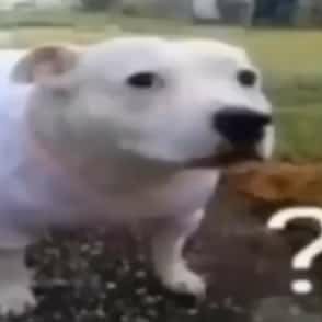 u know its raining outside when go outside and its raining