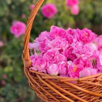 عبدالرحمن (@j2010a) 's Twitter Profile