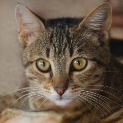 MonicaS77163245's profile picture. 