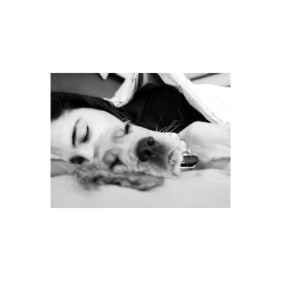 begumibrisim's profile picture. YTÜ