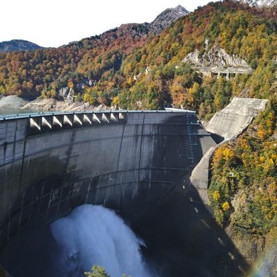 DIYF0GH7eDUKkU3's profile picture. 