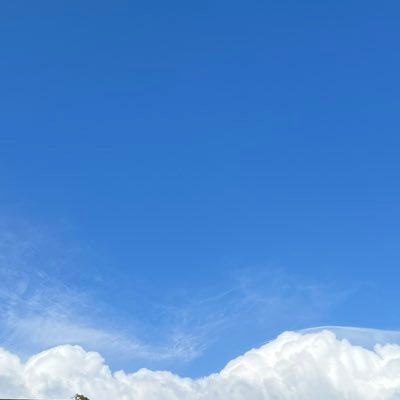 jellyrion0_0's profile picture. 