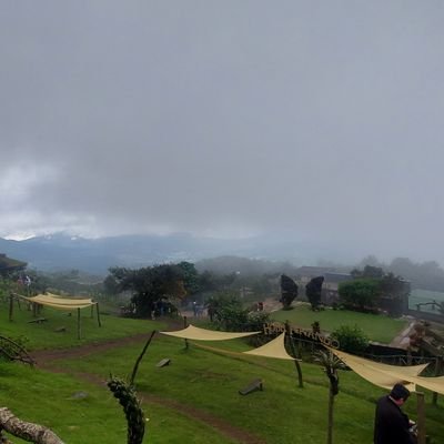 willer2585's profile picture. 