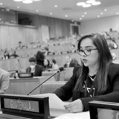 Guatemalan Diplomat at the UN 🇬🇹.  Views are personal.