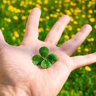 Dakota296566051's profile picture. NFT Analyst/Tokenomics Guru