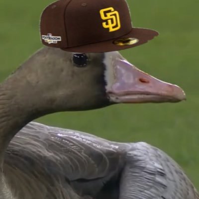 Fun facts about the newest member of the Padres Organization, Goose.