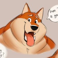 bsky.Shibadoodles (@shibadoodles) 's Twitter Profile Photo bsky.Shibadoodles (@shibadoodles) 's Twitter Profile Photo
