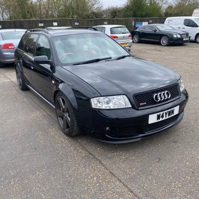 DodgeThesystem's profile picture. Lone wolf.  do not follow or obey.