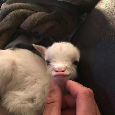 marianabobon29's profile picture. dead inside 🌚