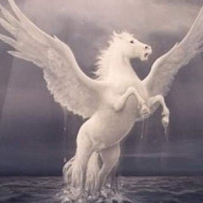 Omar174085751's profile picture. Just Trust In God Faculty Of Engineering