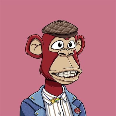 NFT enthusiast and frenchie dad Discord: thatNFTgamer#0460