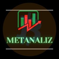 Metanaliz(@metanaliz) 's Twitter Profile Photo