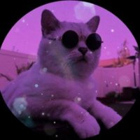 aies_yes (@eddnft944) 's Twitter Profile