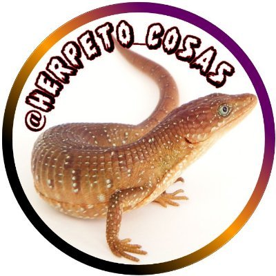 Herpeto_cosas Profile Picture