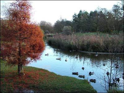 GoldenAcrePark's profile picture. Golden Acre, Otley Road, Leeds, West Yorkshire LS16 8BQ