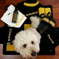 collection nation (@hyperbeam0x58) 's Twitter Profile