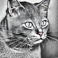 victor.apt (@victor_apt) 's Twitter Profile Photo victor.apt (@victor_apt) 's Twitter Profile Photo