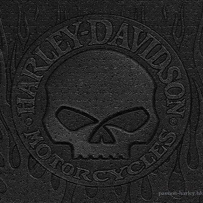 seb_regnew's profile picture. Moi