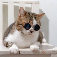 jpegm⭕rgan.eth / conservativeinvestor.eth (@ladrylle82) 's Twitter Profile
