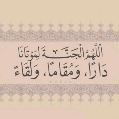 MajedAlfedani's profile picture. 