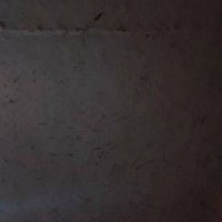 LuvMuffin (@jacksonb_nft44) 's Twitter Profile