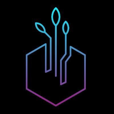 Lulu9521717327's profile picture. Crypto enthousiast, passionate about keeping up with new developments and CT. Looking for a web3 job!