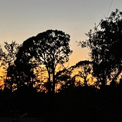 emchaviano's profile picture. The more I learn the more I live. Following does not imply endorsement.