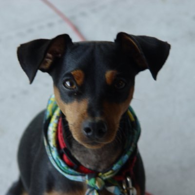 thebrandybgood's profile picture. Privileged to have been born in the greatest country on Earth.
Time is never on your side, do it now. 
God bless the USA and all that love her.