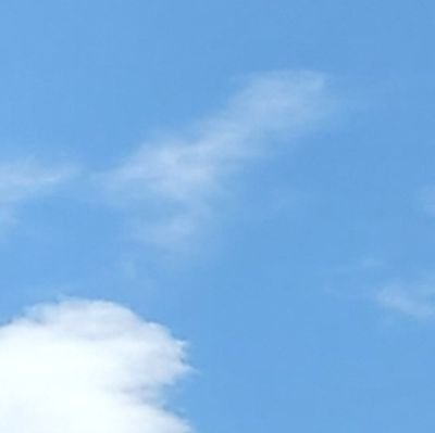 ○さんのプロフィール画像