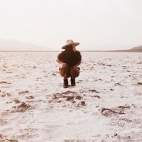 shauna friesen (@friesenwrites) 's Twitter Profile