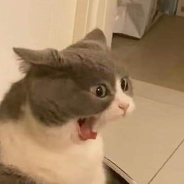 ikoecology's profile picture. Ecology Undergraduate ‘24 | CSUSM | 20 | she/her | Amateur Wildlife Photographer