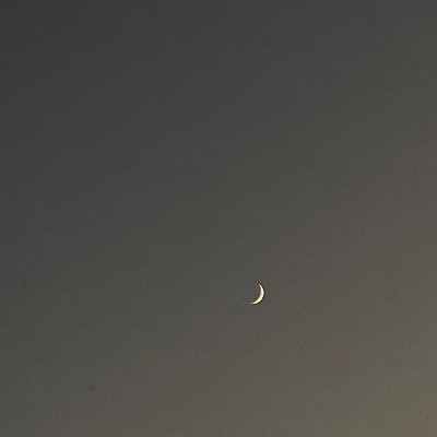 E86798011's profile picture. 閲覧 20↑