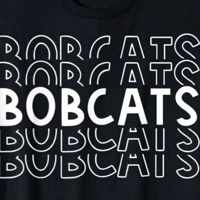 iSpyBobcat's profile picture. Everything I see is a fun @Brock_Road ES Bobcat to me!