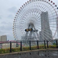 ポコpoko (@uchiyu_0629) Twitter profile photo