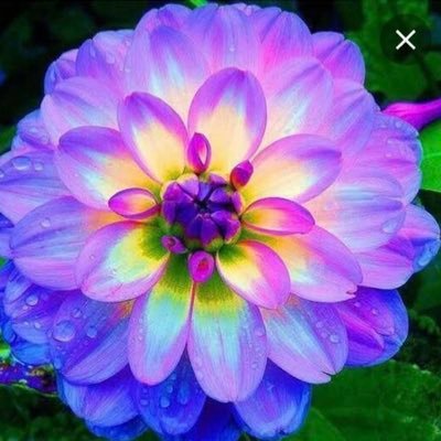 mrselmore7's profile picture. 