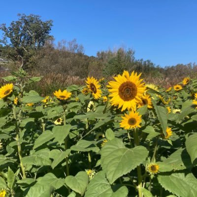 deboraeisenberg's profile picture. mom, foodie, and gif lover