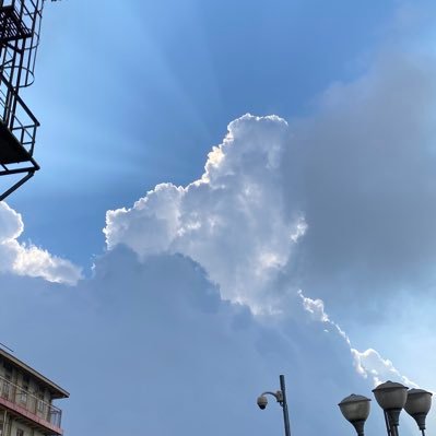 DBhadra06's profile picture. Proud to be Indian..and Odia..Jai Jagannath 👏👏