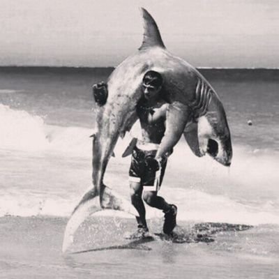 latrovi's profile picture. 