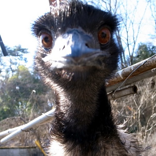 mackun8's profile picture. 