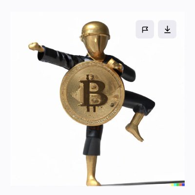 Choke_hodl's profile picture. Pro-freedom/Anti-authoritarian || Bjj 🥋|| #Bitcoin