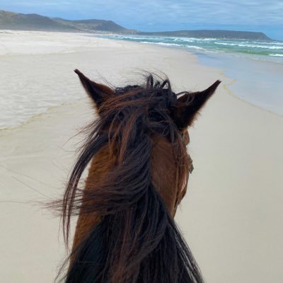 H_12ix's profile picture. الحمدلله دائماً وأبداً 💛.