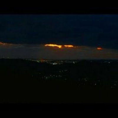 Pan_Pangoro's profile picture. 🐵