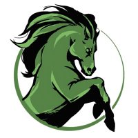 Metaverse Mustangs (@metamustangs) 's Twitter Profile