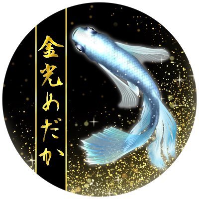 金光めだかさんのプロフィール画像
