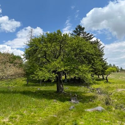 moku_nemikieda's profile picture. ことばにすること、話すこと、聴くこと、ことばにできないことを大切にしております。