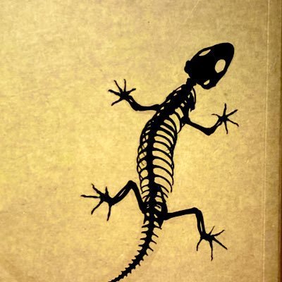 あかほしさんのプロフィール画像