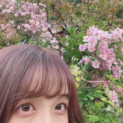 harunochan22's profile picture. 