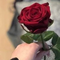 A (@apple_s_3) 's Twitter Profile