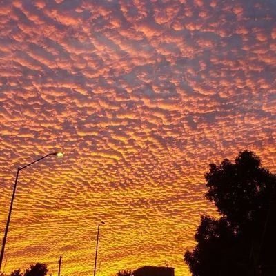 CapitalZob79's profile picture. decent man